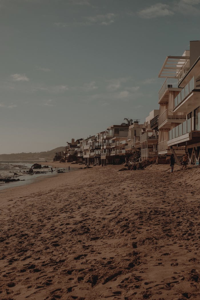 pexels photo 8256437.jpeg